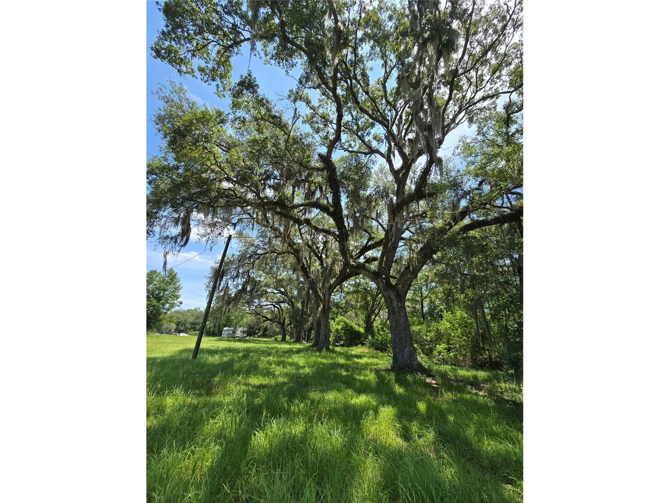 7563 SE County Road 405 Branford FL 32008 GC541349 image5