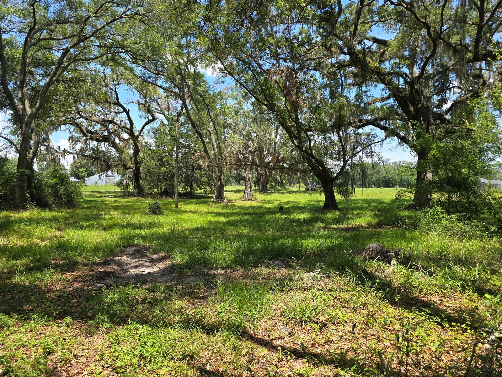 7563 SE County Road 405 Branford FL 32008 GC541349 image7