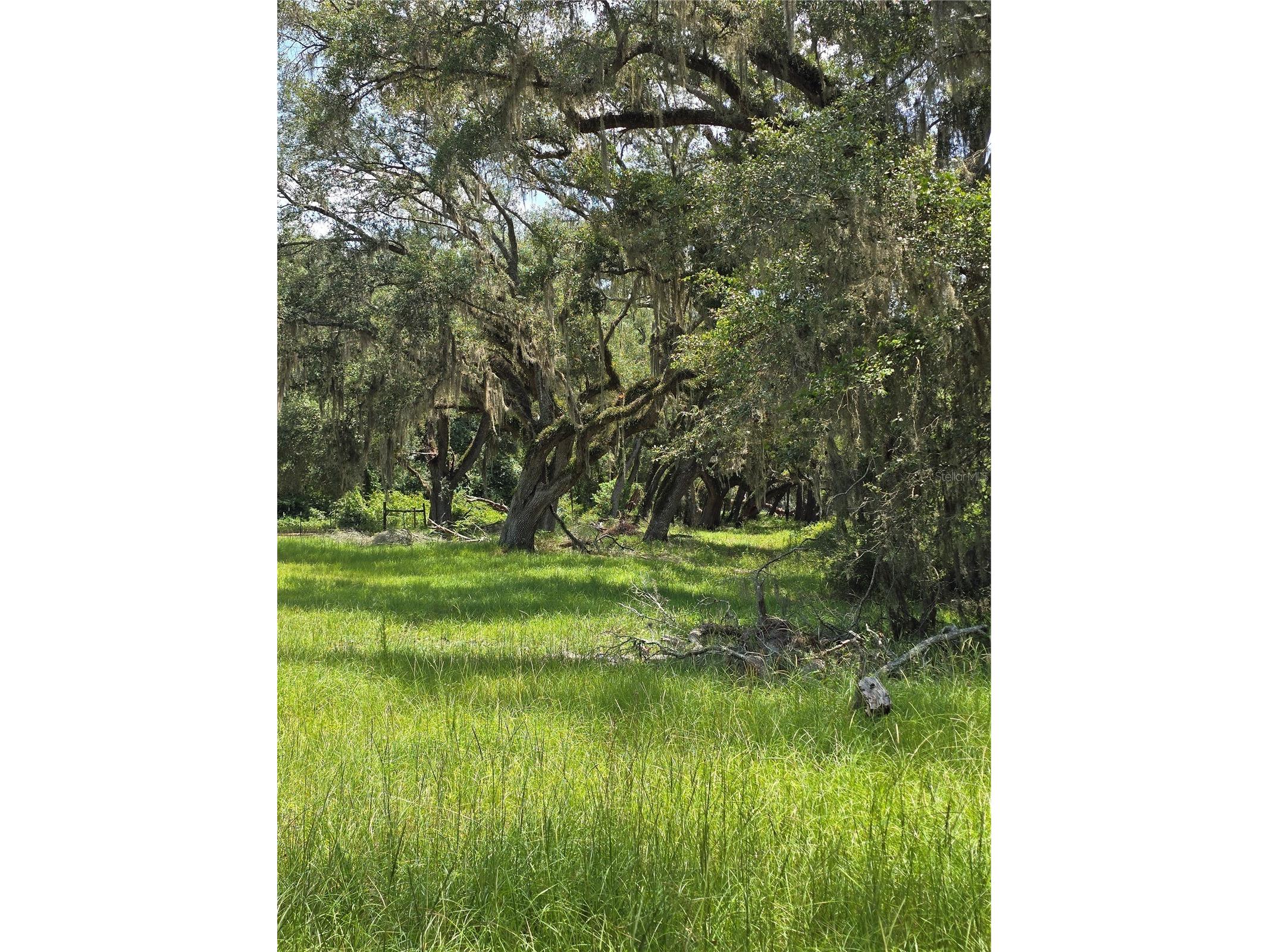 7563 SE County Road 405 Branford FL 32008 GC541349 image8