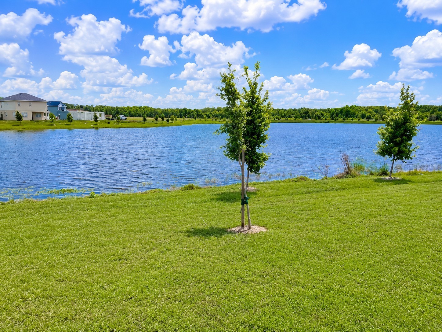 7569 Bent Tree Loop Saint Cloud FL 34771 O6414061 image14