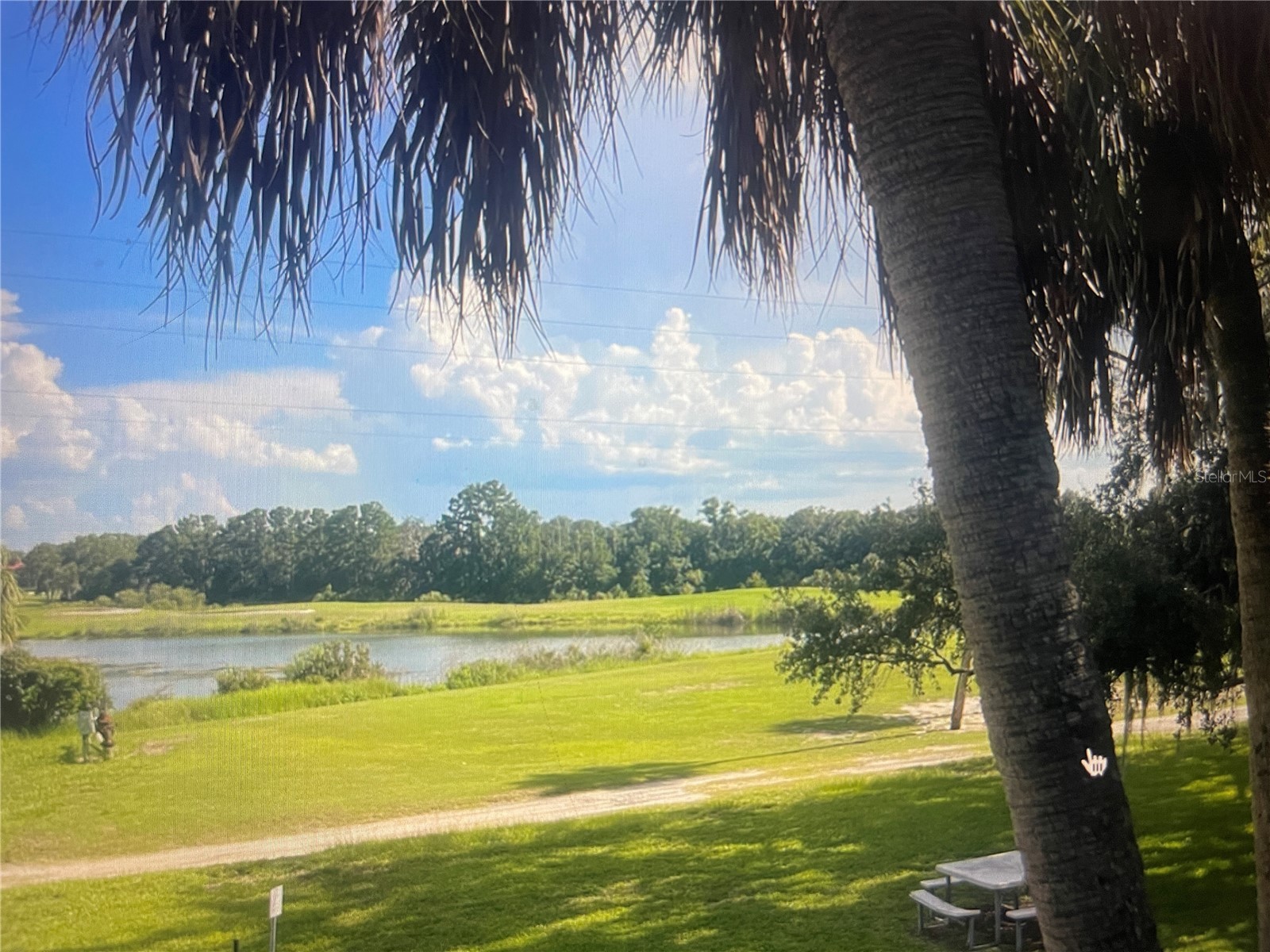 757 Midway Drive #B Ocala FL 34472 OM720886 image3