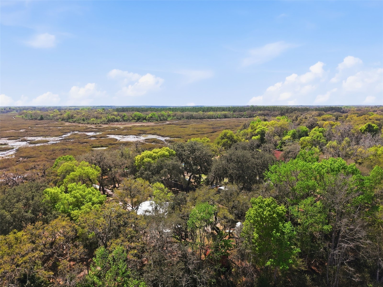 7570 E Ringer Court Inverness FL 34453 W7882774 image32