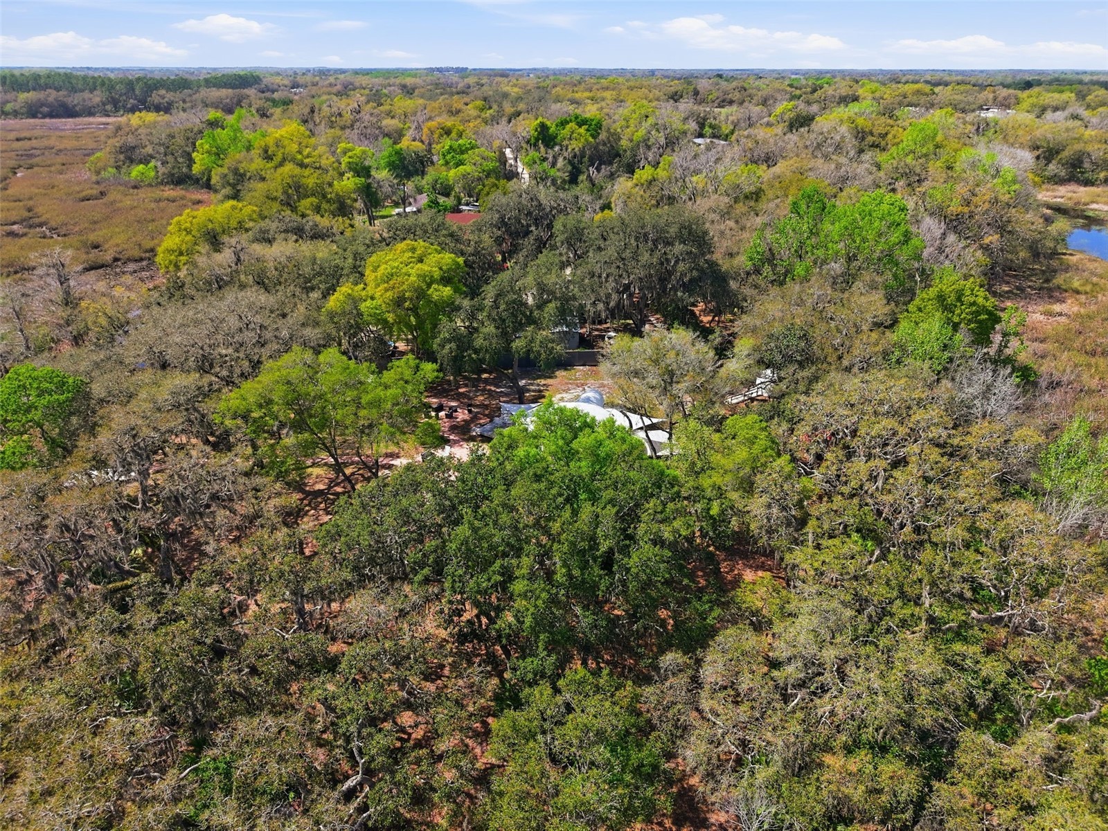 7570 E Ringer Court Inverness FL 34453 W7882774 image33