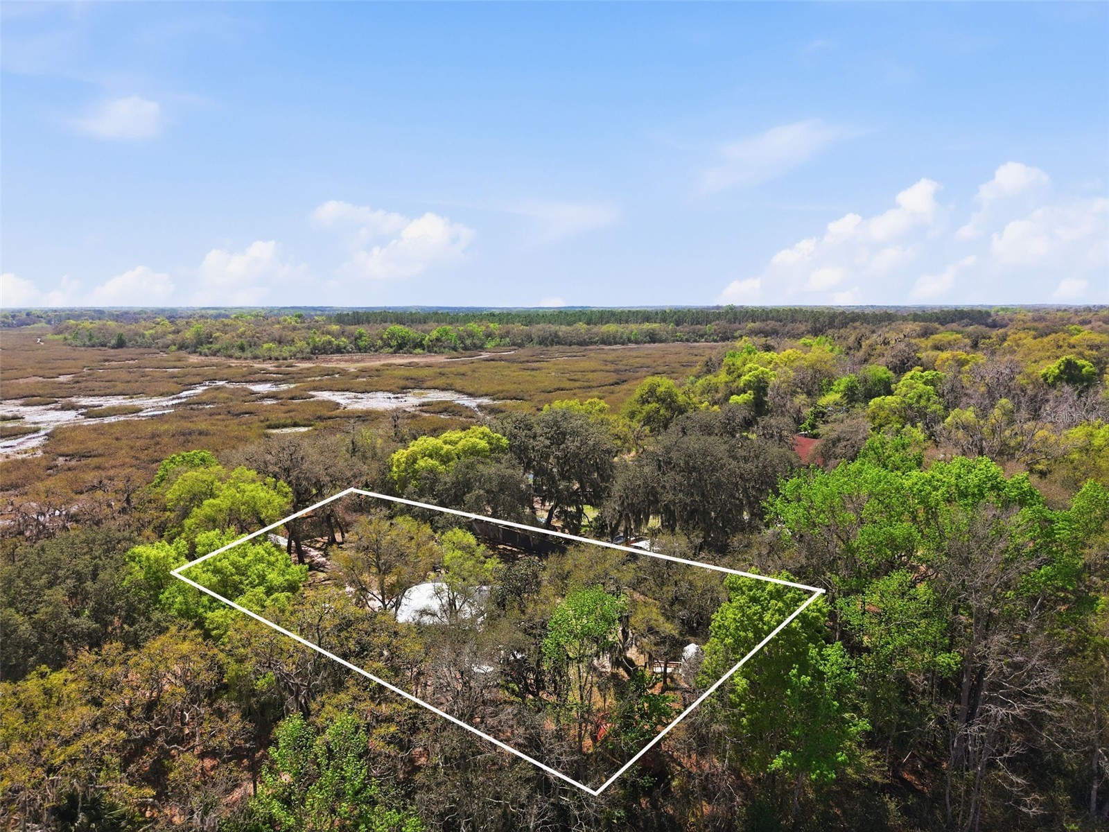 7570 E Ringer Court Inverness FL 34453 W7882774 image36
