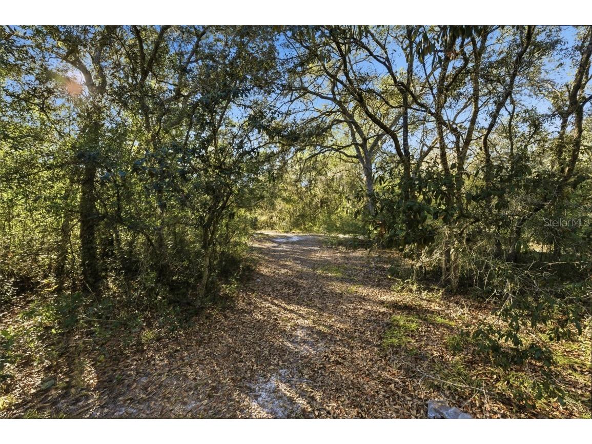 7570 W Pixie Lane Dunnellon FL 34433 TB8437289 image10