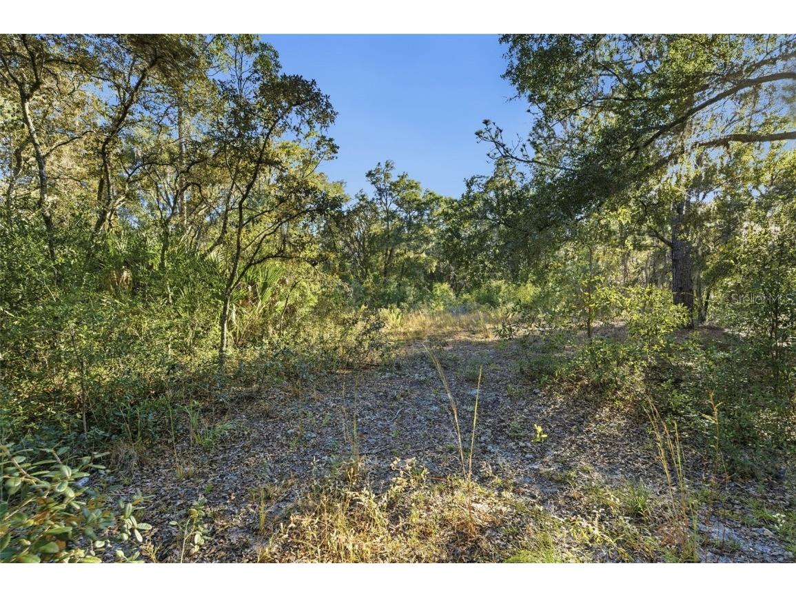 7570 W Pixie Lane Dunnellon FL 34433 TB8437289 image11