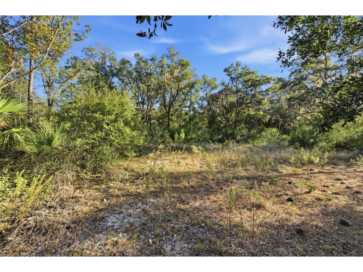 7570 W Pixie Lane Dunnellon FL 34433 TB8437289 image12