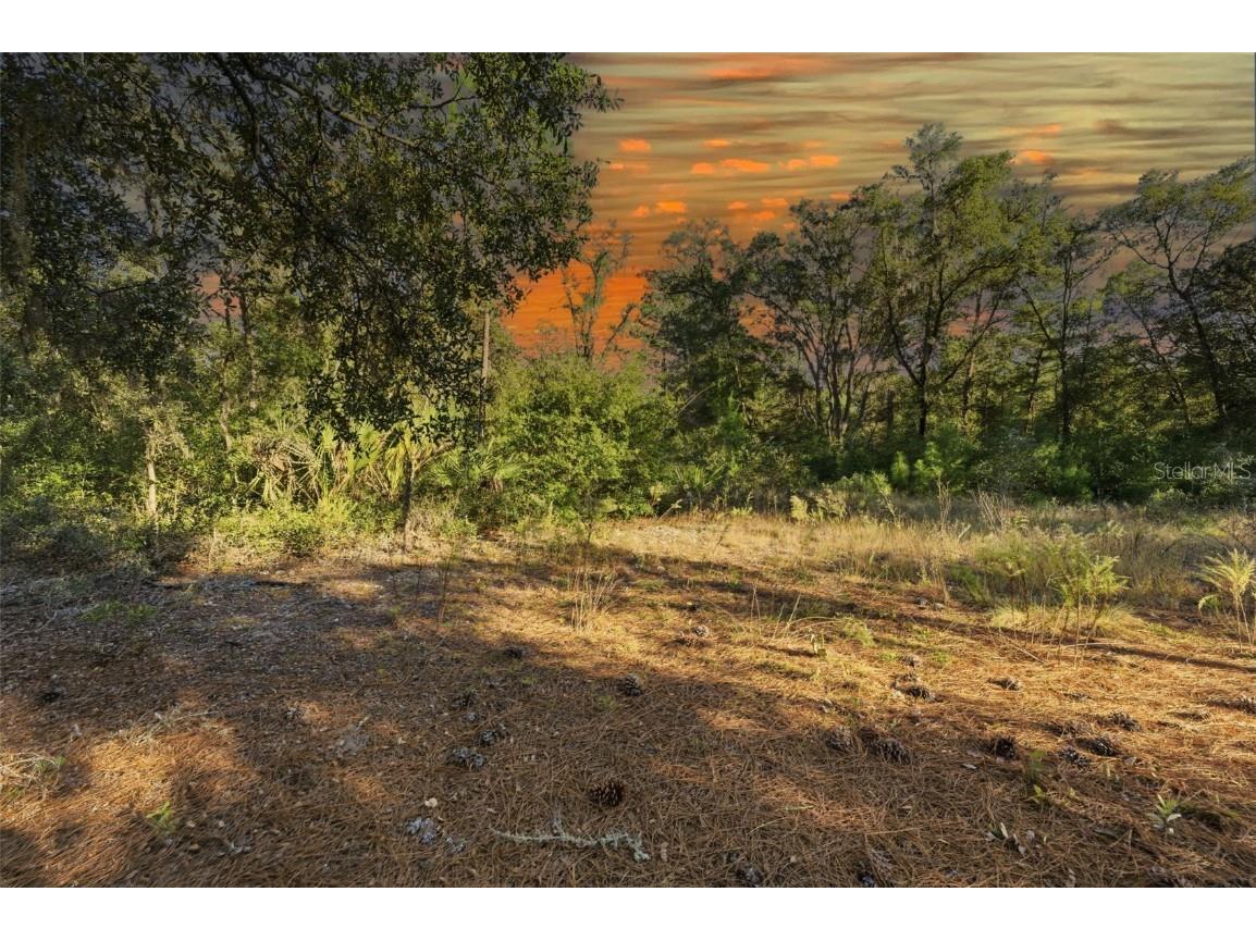 7570 W Pixie Lane Dunnellon FL 34433 TB8437289 image13