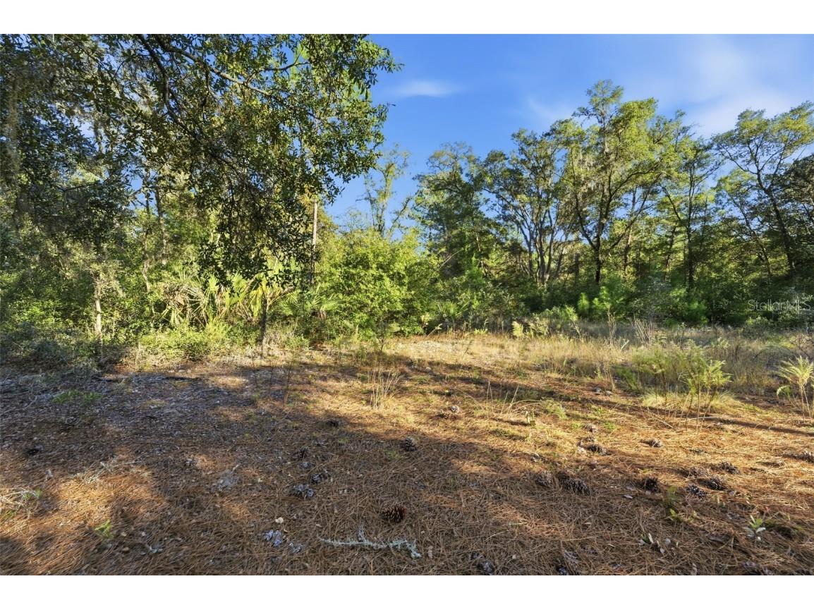 7570 W Pixie Lane Dunnellon FL 34433 TB8437289 image14