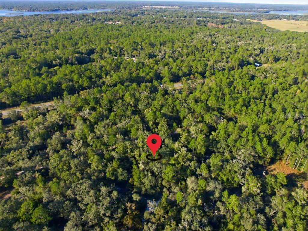 7570 W Pixie Lane Dunnellon FL 34433 TB8437289 image6