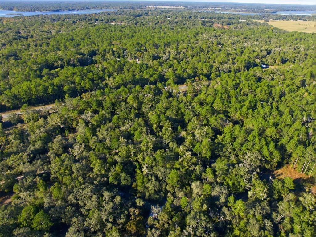 7570 W Pixie Lane Dunnellon FL 34433 TB8437289 image7