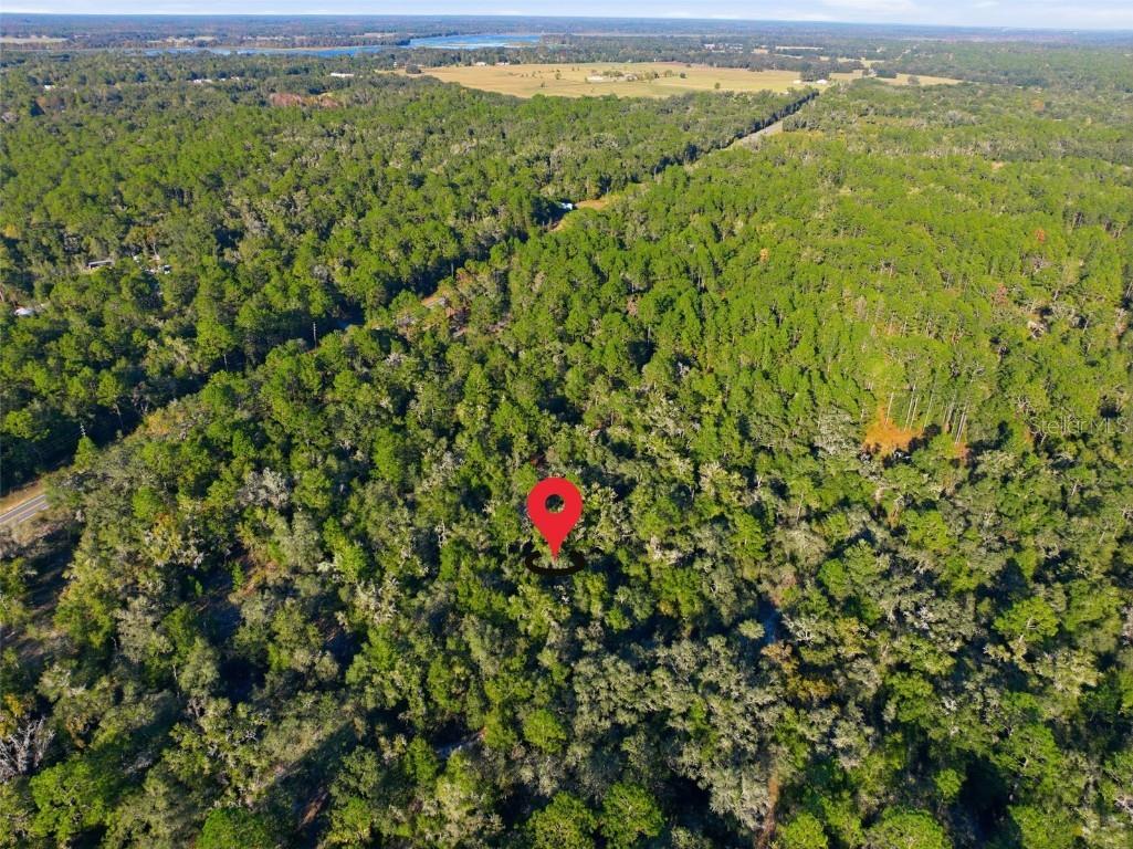 7570 W Pixie Lane Dunnellon FL 34433 TB8437289 image8