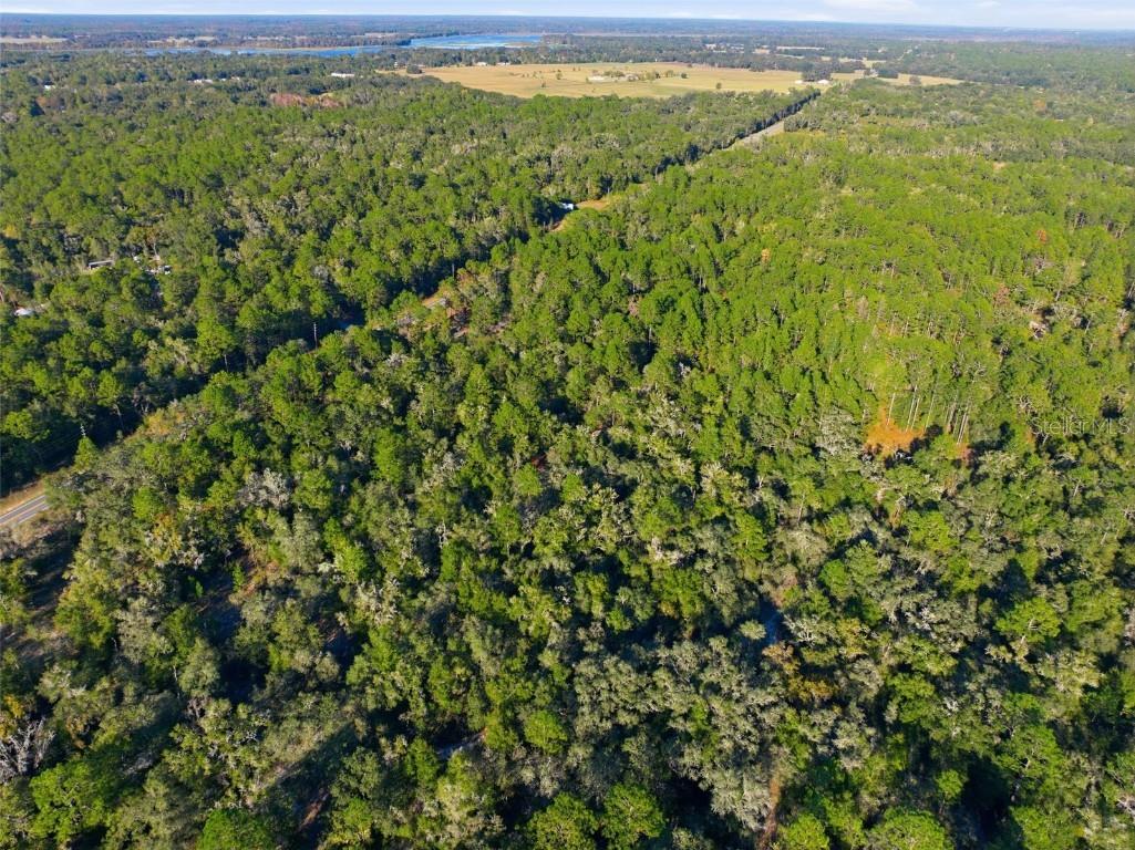 7570 W Pixie Lane Dunnellon FL 34433 TB8437289 image9