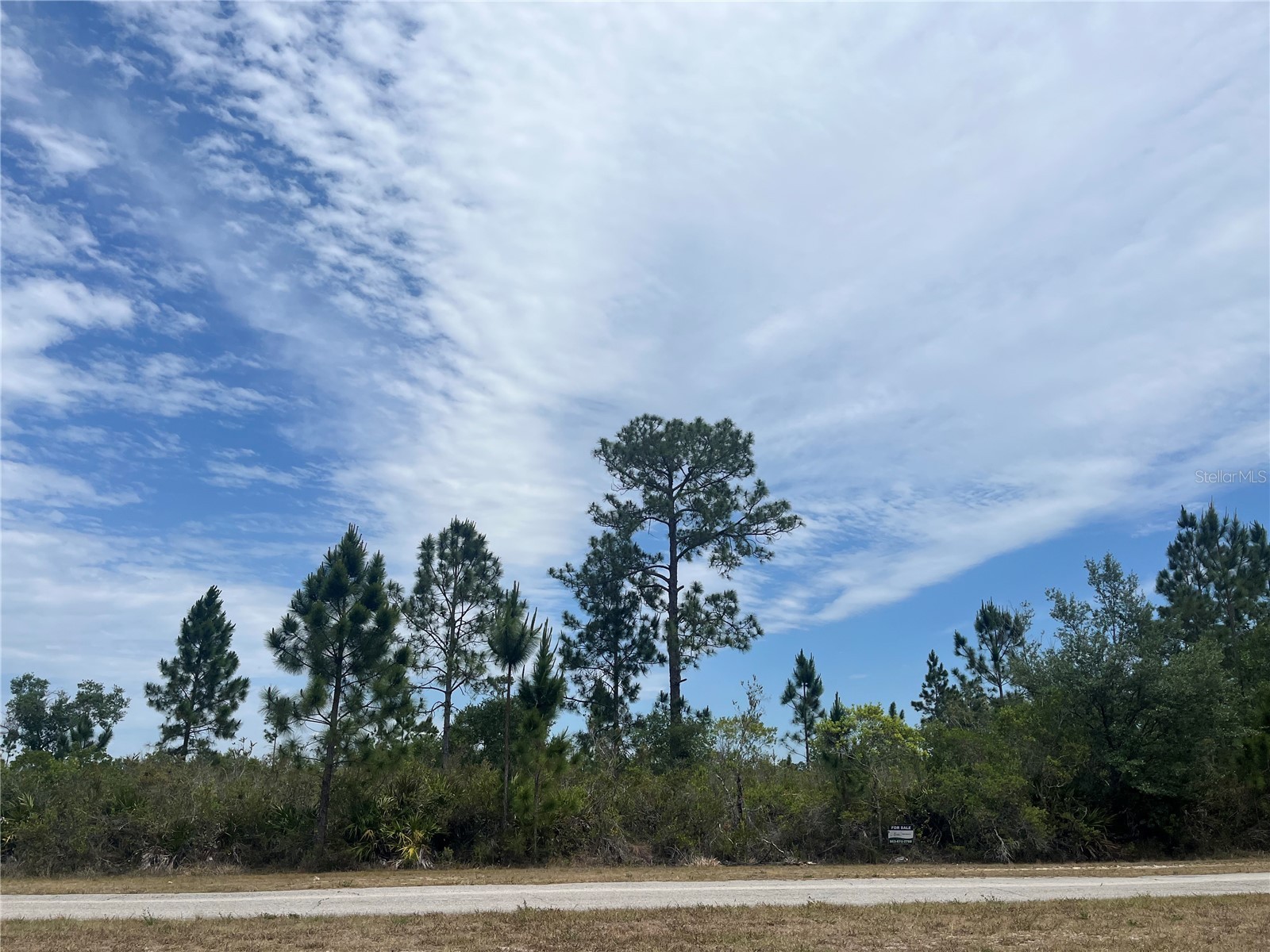 7571 Deland Avenue Indian Lake Estates FL 33855 P4938360 image2