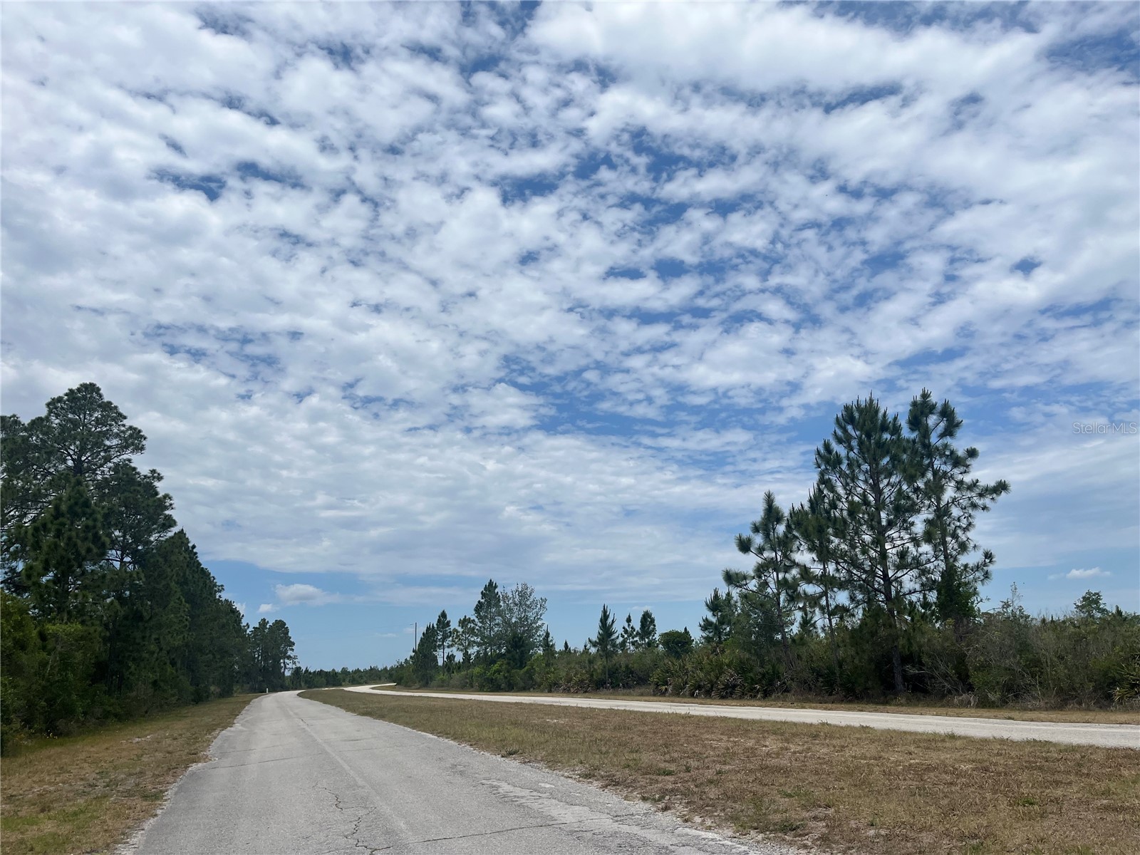 7571 Deland Avenue Indian Lake Estates FL 33855 P4938360 image3