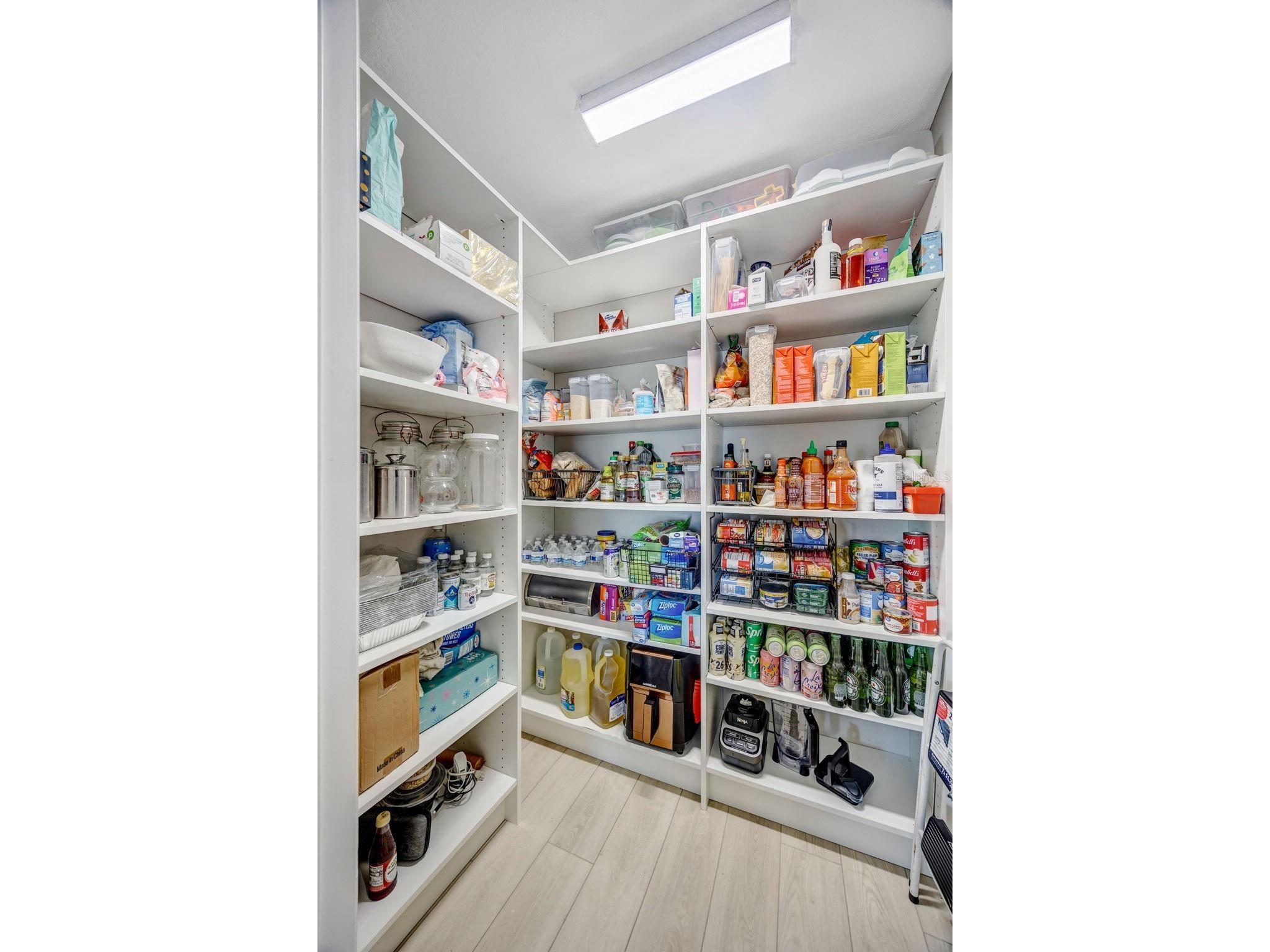 7571 Freesia Trace Wesley Chapel FL 33545 TB8513402 image11