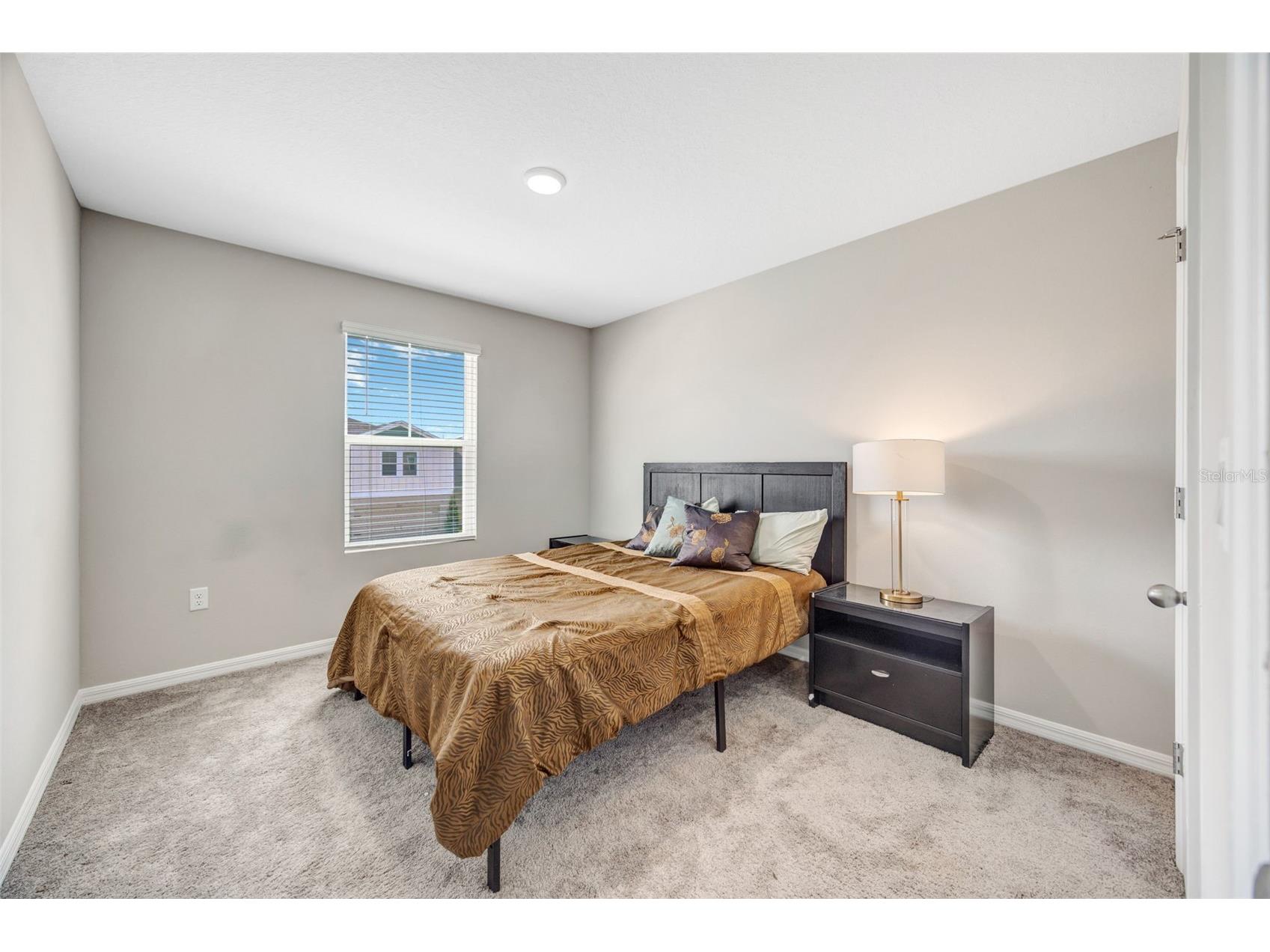 7571 Freesia Trace Wesley Chapel FL 33545 TB8513402 image36