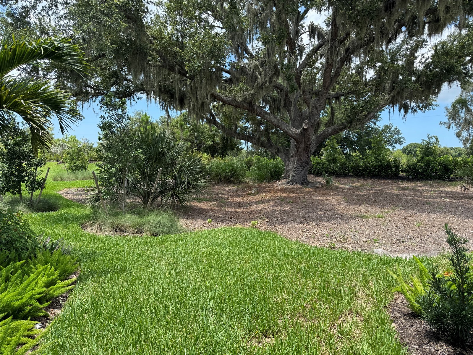 7571 Hawkstone Drive Sarasota FL 34241 A4699147 image3