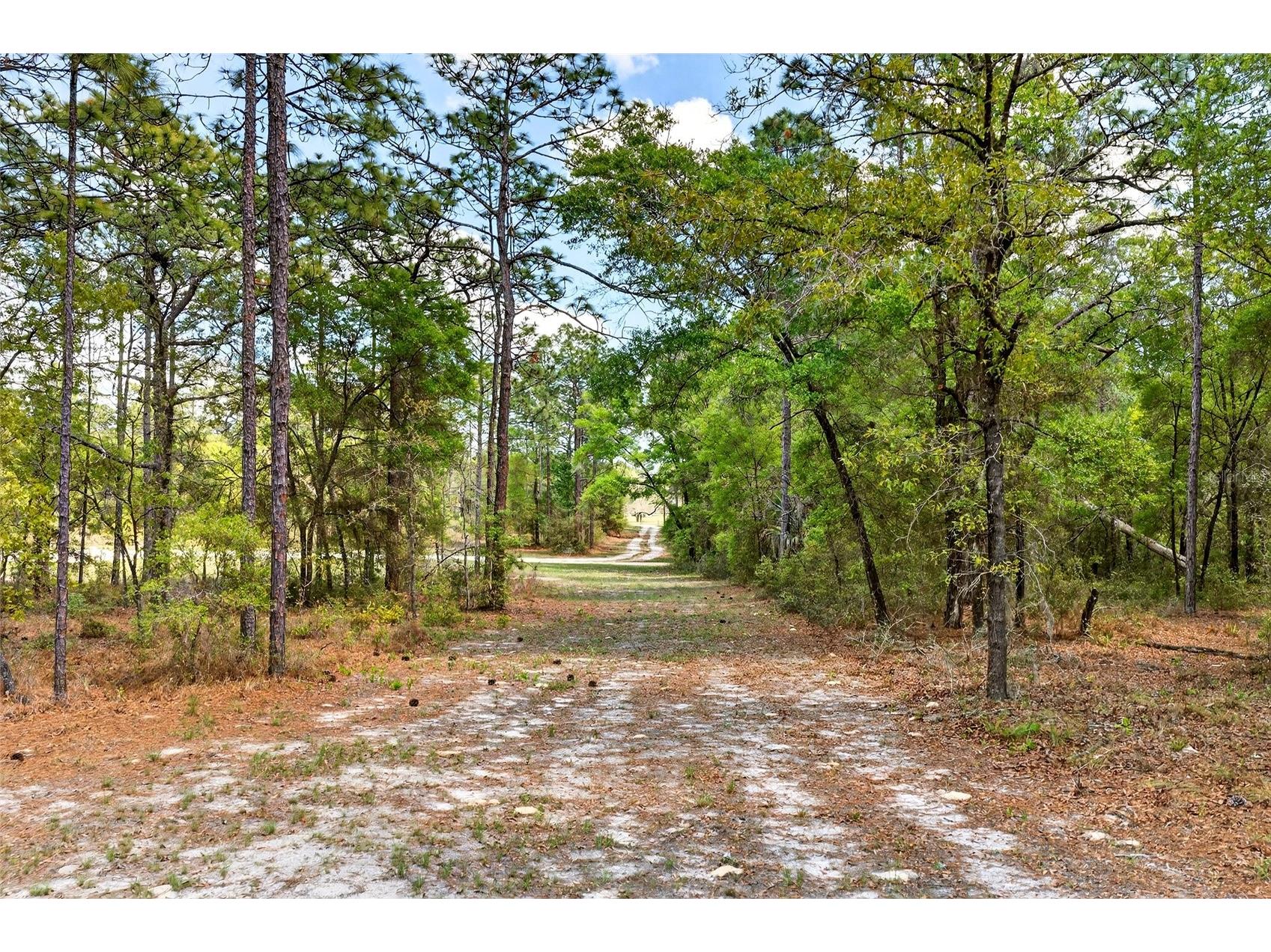 7576 N Heller Avenue Dunnellon FL 34433 OM722207 image21