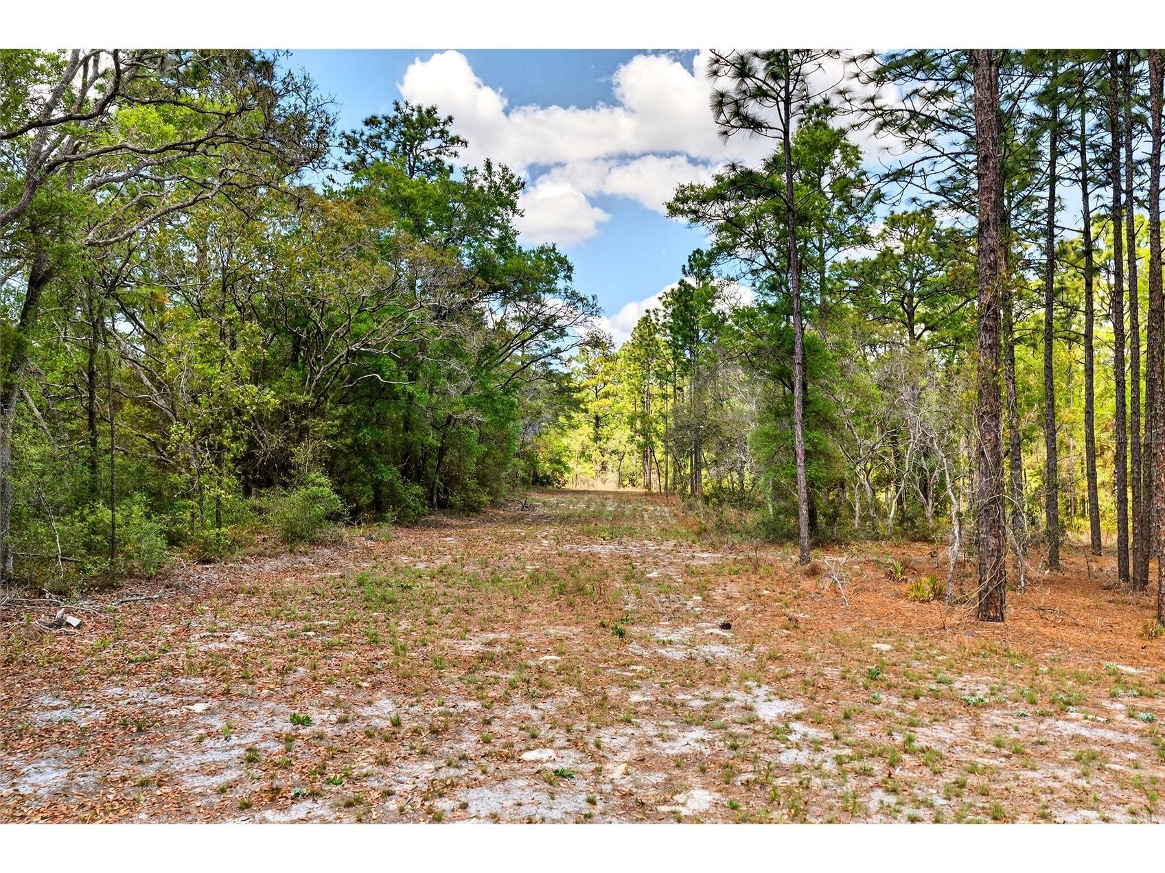 7576 N Heller Avenue Dunnellon FL 34433 OM722207 image22