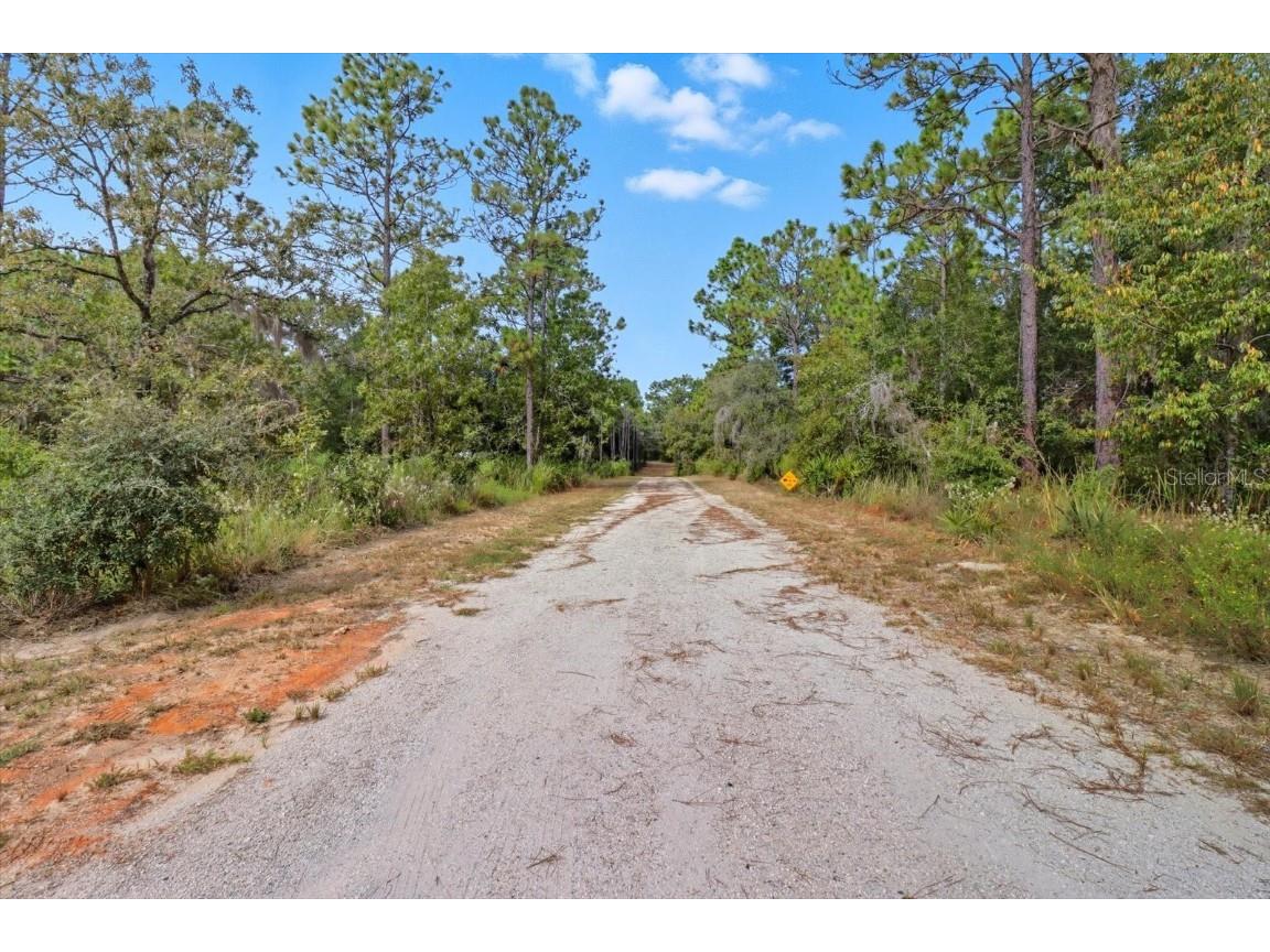 7576 N Heller Avenue Dunnellon FL 34433 TB8428978 image36