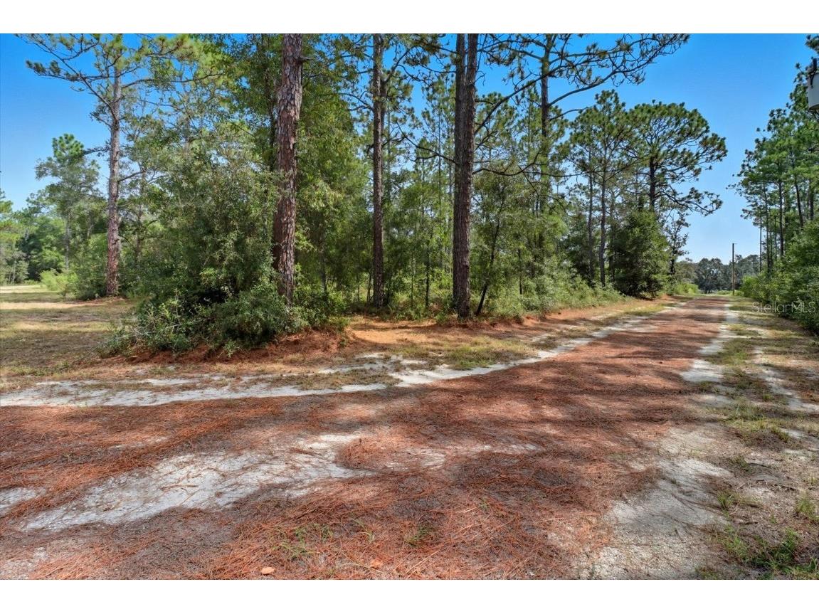 7576 N Heller Avenue Dunnellon FL 34433 TB8428978 image37