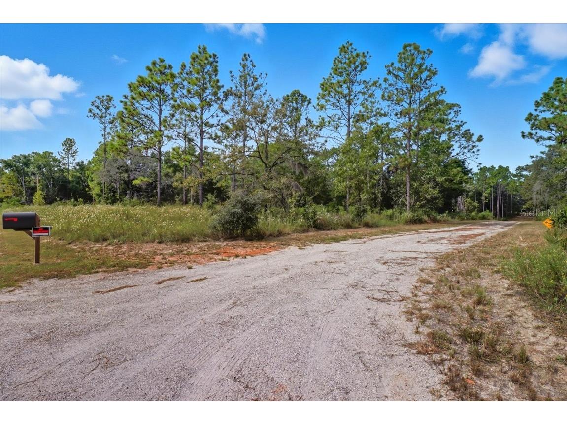 7576 N Heller Avenue Dunnellon FL 34433 TB8428978 image4