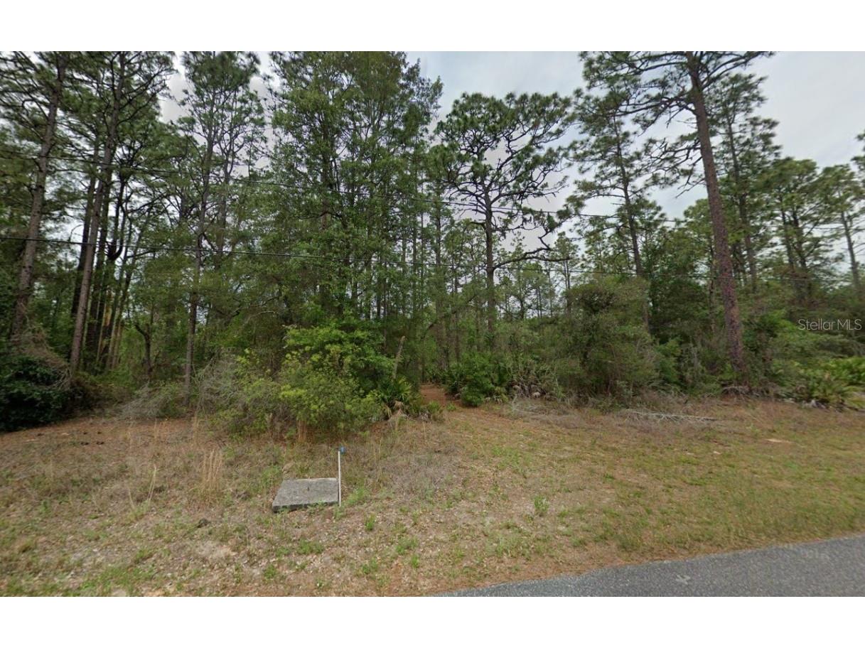 7578 N Galena Avenue Citrus Springs FL 34434 C7514005 image1