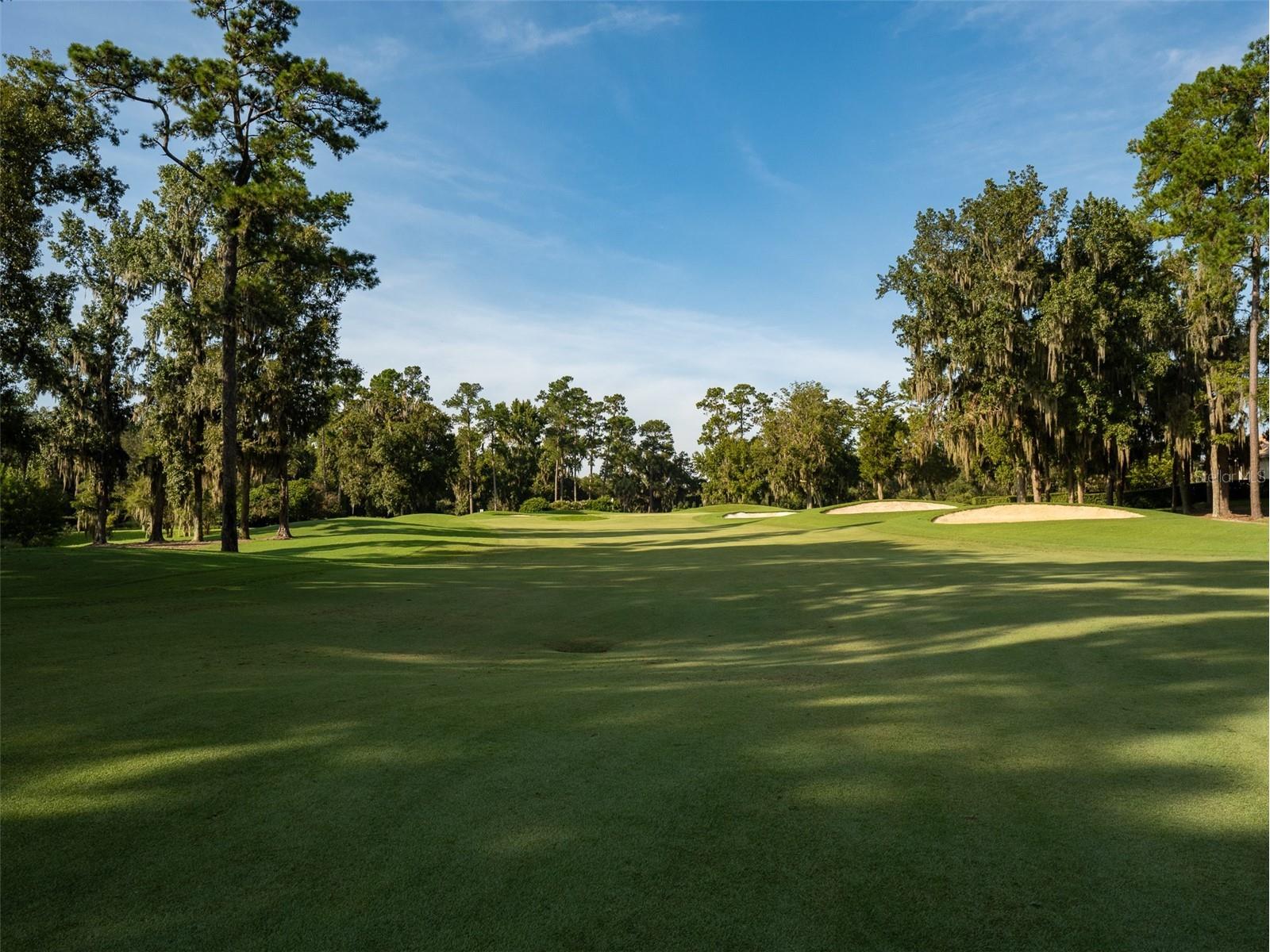 7578 NW 33rd Place Ocala FL 34482 OM683987 image28