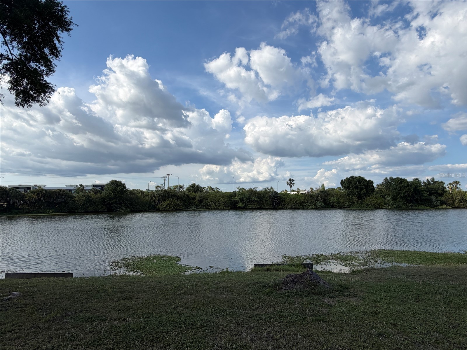 758 Burlwood Street Brandon FL 33511 O6400610 image26