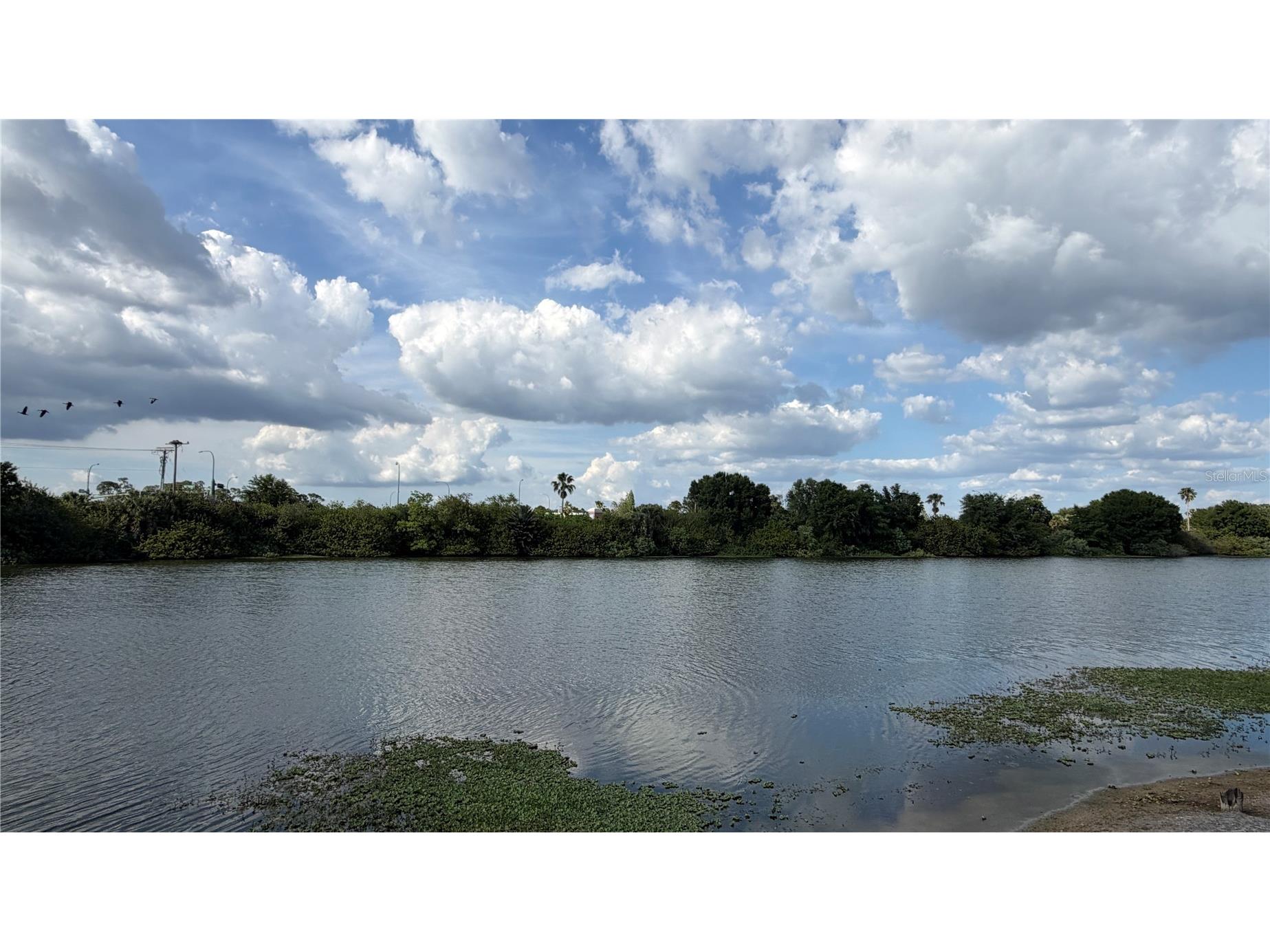 758 Burlwood Street Brandon FL 33511 O6400610 image27