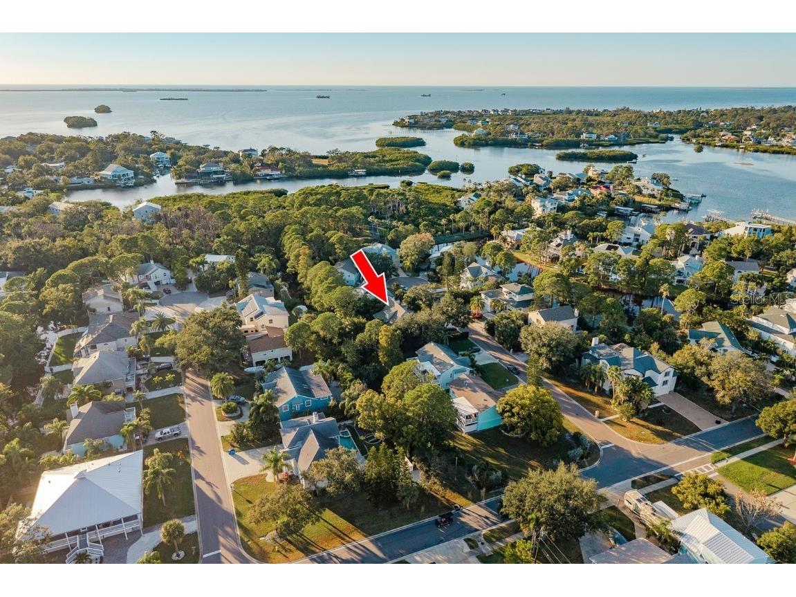 758 Claudia Palm Harbor FL 34683 TB8447354 image3