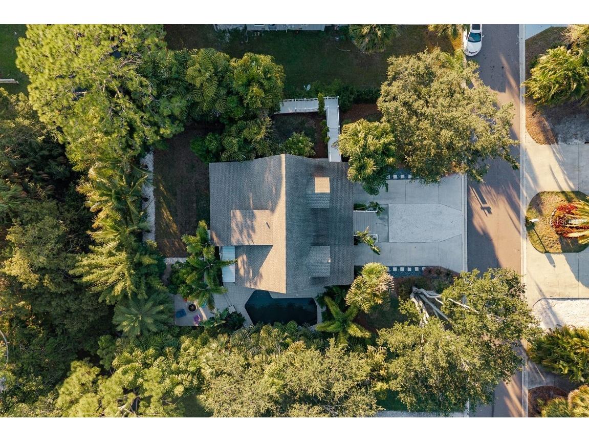 758 Claudia Palm Harbor FL 34683 TB8447354 image66