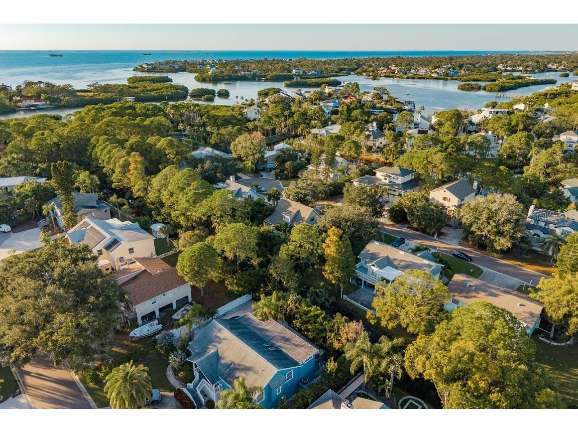 758 Claudia Palm Harbor FL 34683 TB8447354 image70