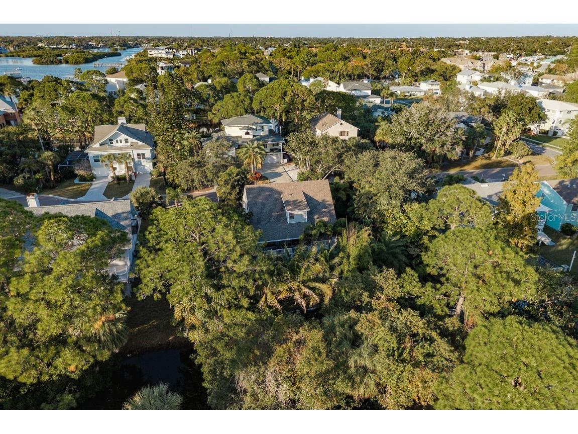 758 Claudia Palm Harbor FL 34683 TB8447354 image71