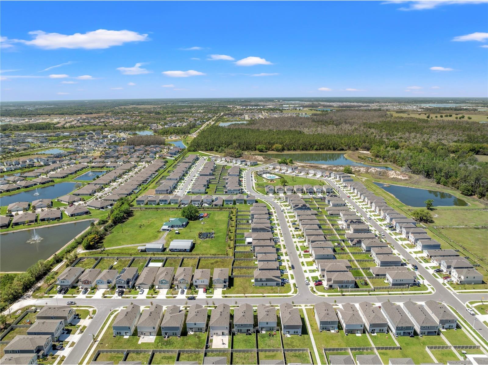 7580 Freesia Trace Wesley Chapel FL 33545 TB8512806 image45