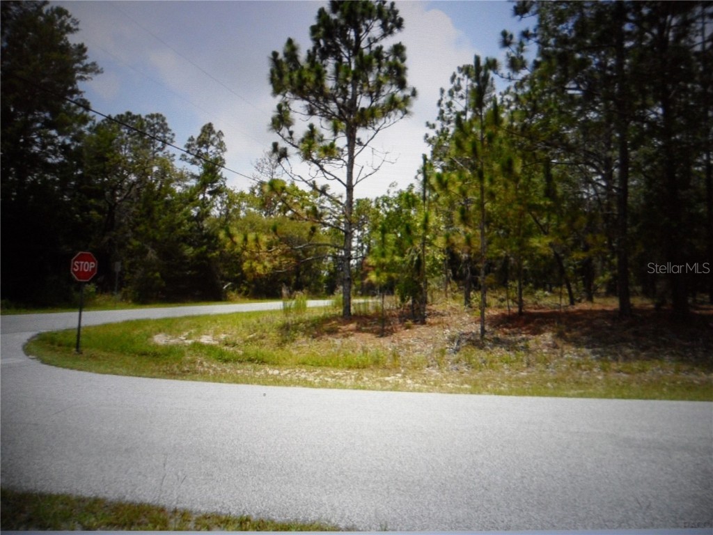 7585 N Susan Avenue Dunnellon FL 34433 OM685184 image1