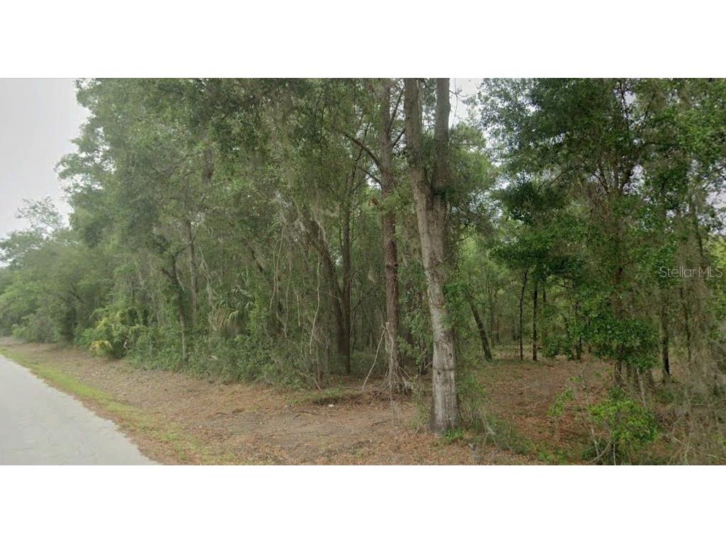 7585 W Leisure Street Dunnellon FL 34433 O6237977 image1