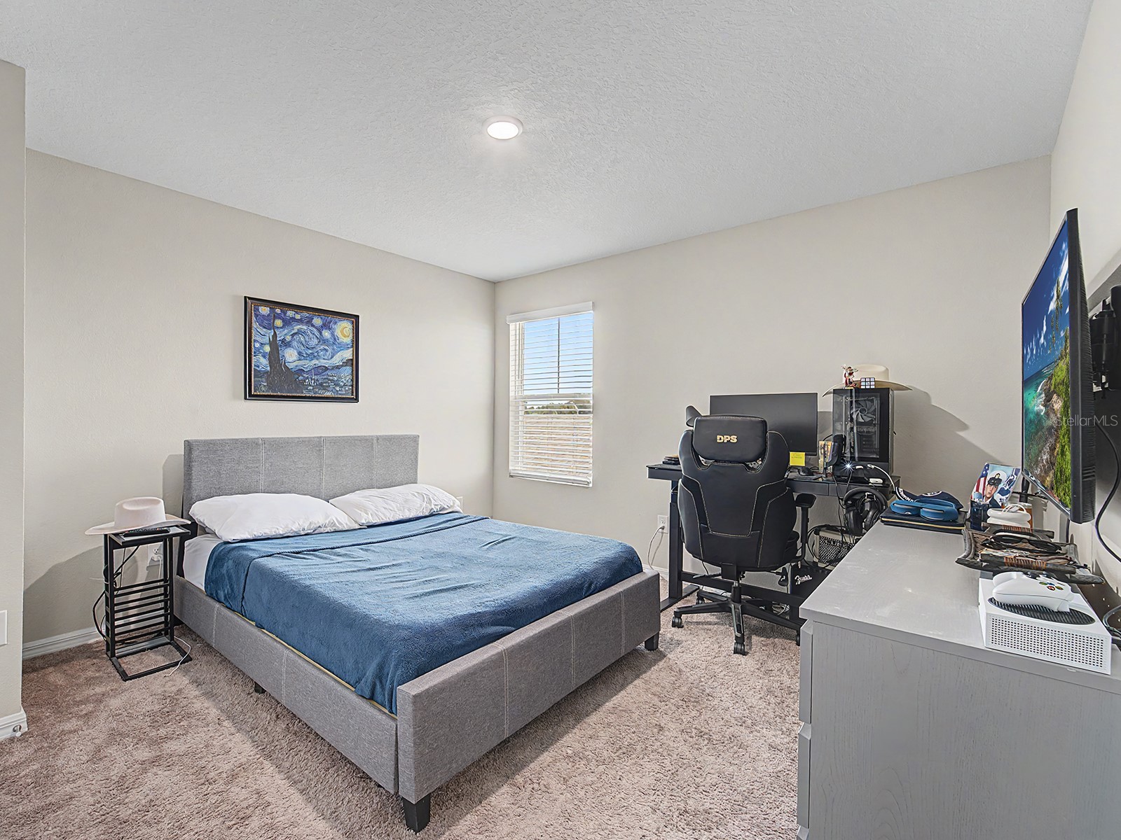 7587 Starflower Way Wesley Chapel FL 33545 TB8512979 image27