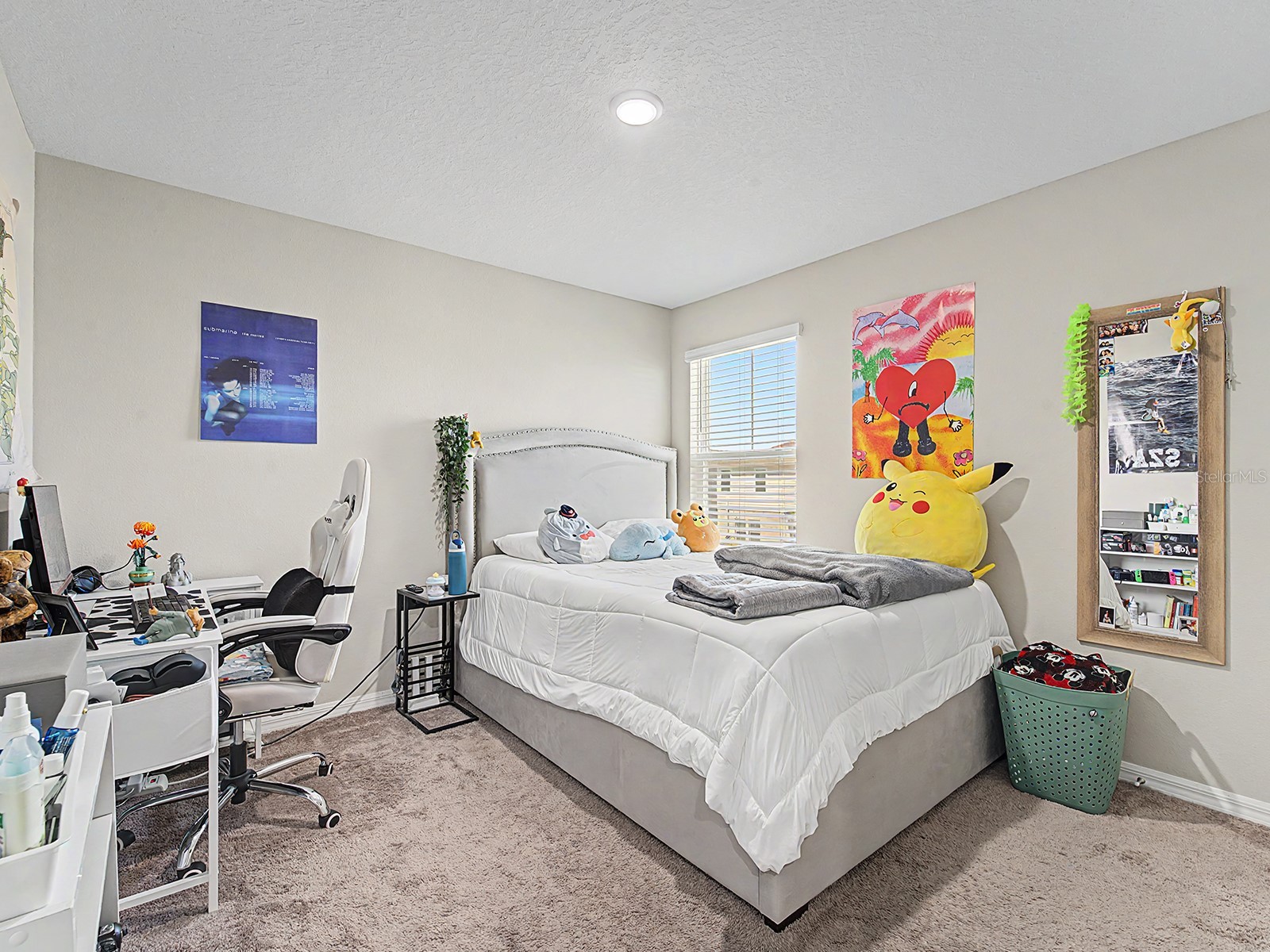 7587 Starflower Way Wesley Chapel FL 33545 TB8512979 image28
