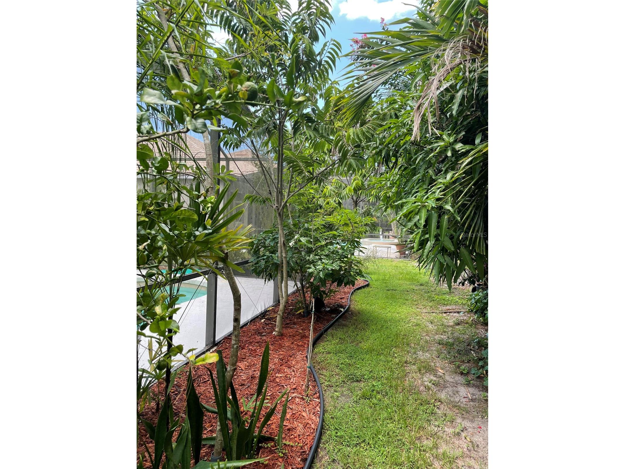 759 Fordingbridge Way Osprey FL 34229 O6399774 image50