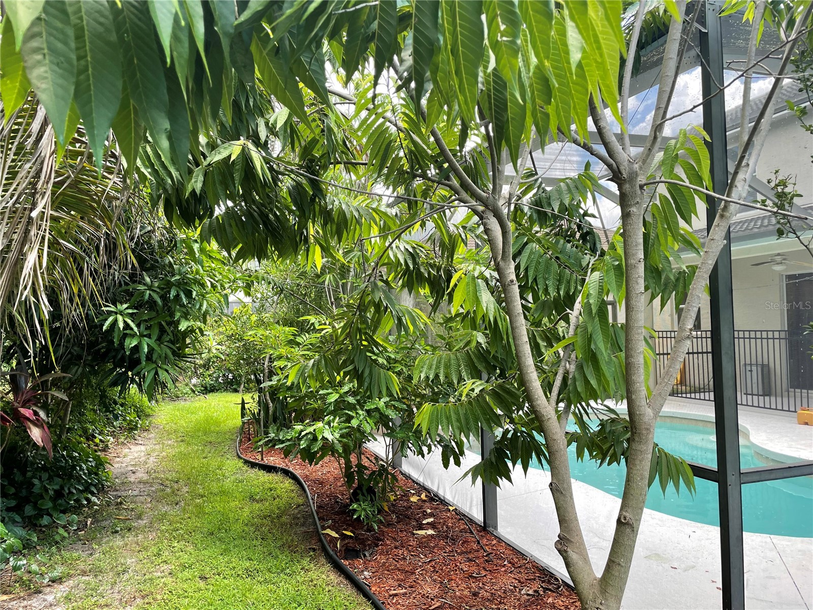 759 Fordingbridge Way Osprey FL 34229 O6399774 image51