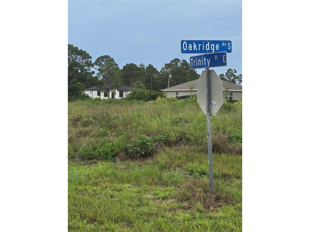 759 Oakridge Avenue S Lehigh Acres FL 33974 A4658170 image1