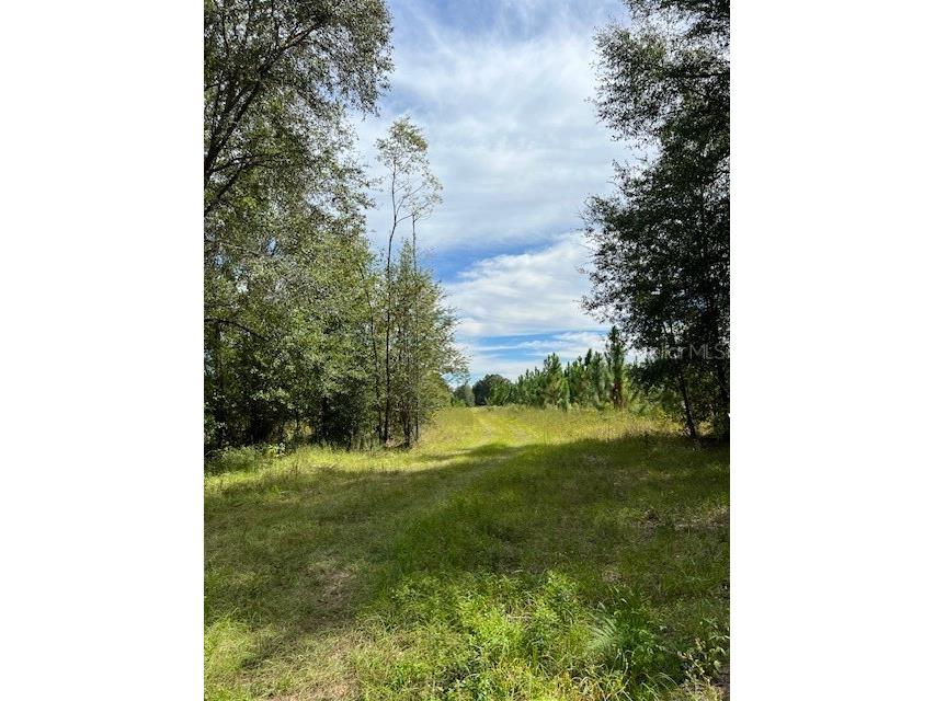 759 SW Upchurch Avenue Lake City FL 32024 OM691597 image3