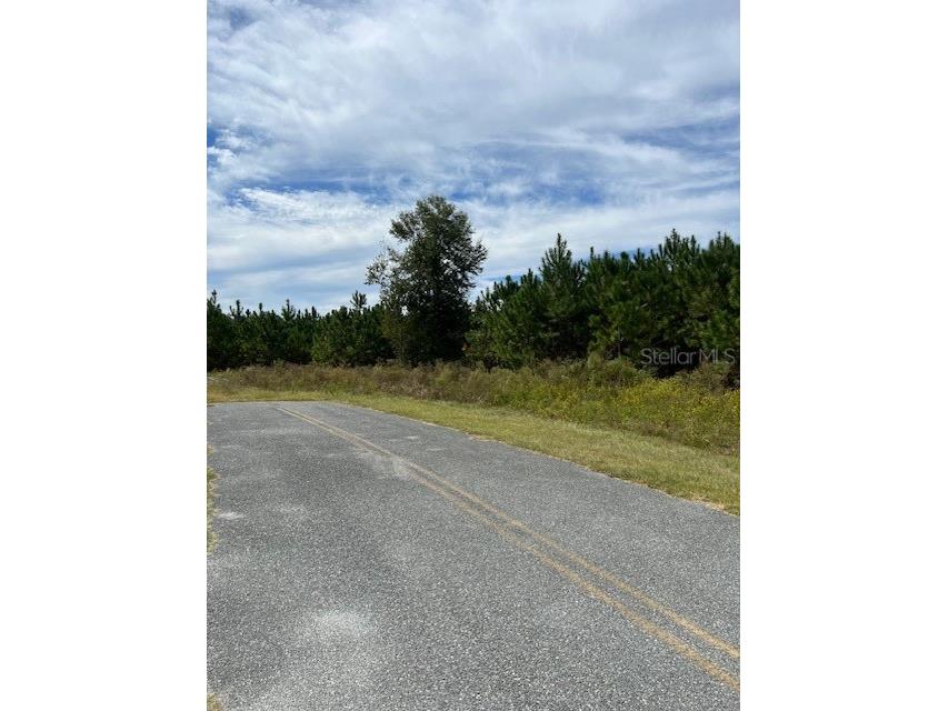 759 SW Upchurch Avenue Lake City FL 32024 OM691597 image6