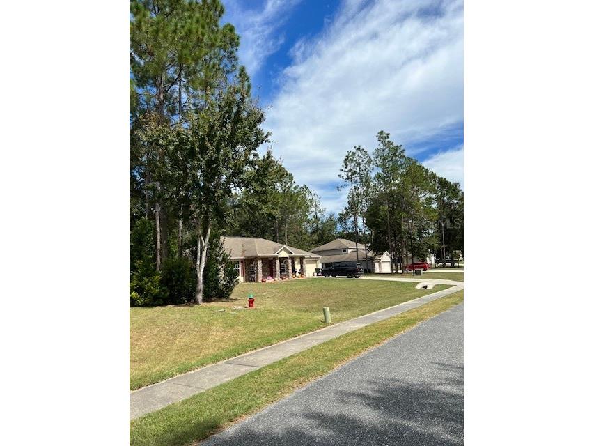 759 SW Upchurch Avenue Lake City FL 32024 OM691597 image9