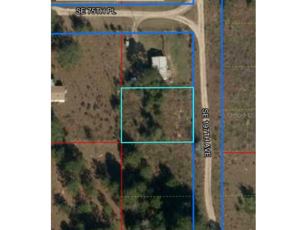 7590 SE 197th Avenue Morriston FL 32668 OM666170 image1