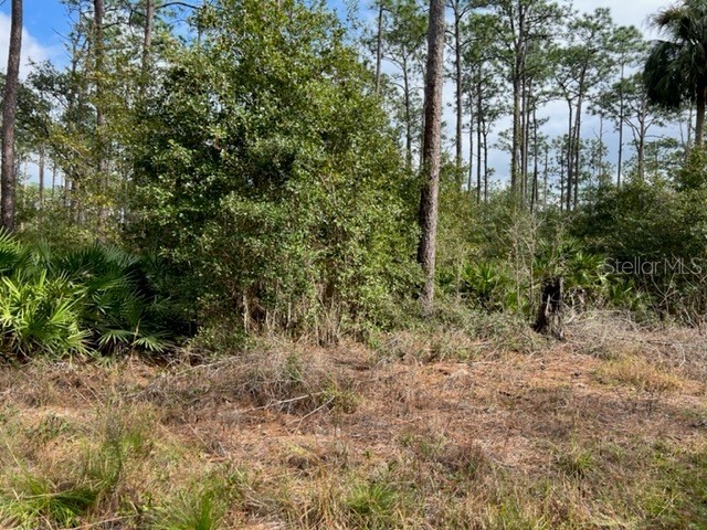 7590 SW 134th Avenue Dunnellon FL 34432 OM648785 image1