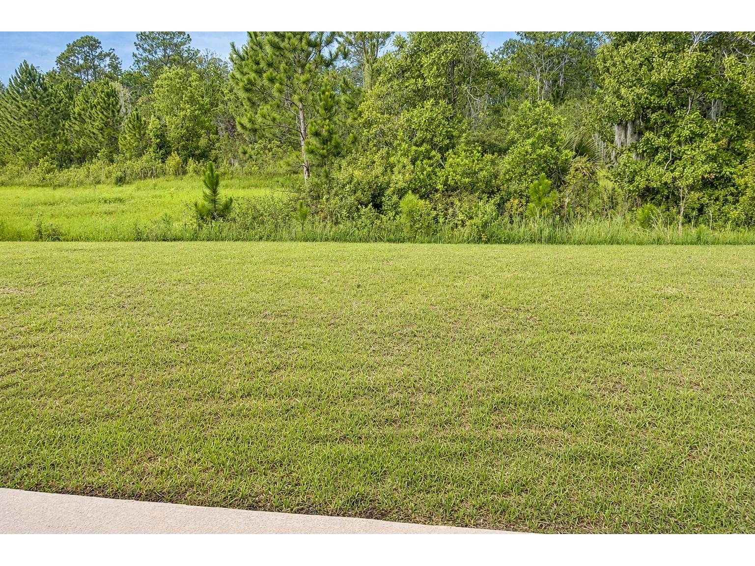 7592 Bent Tree Loop Saint Cloud FL 34771 O6387417 image20