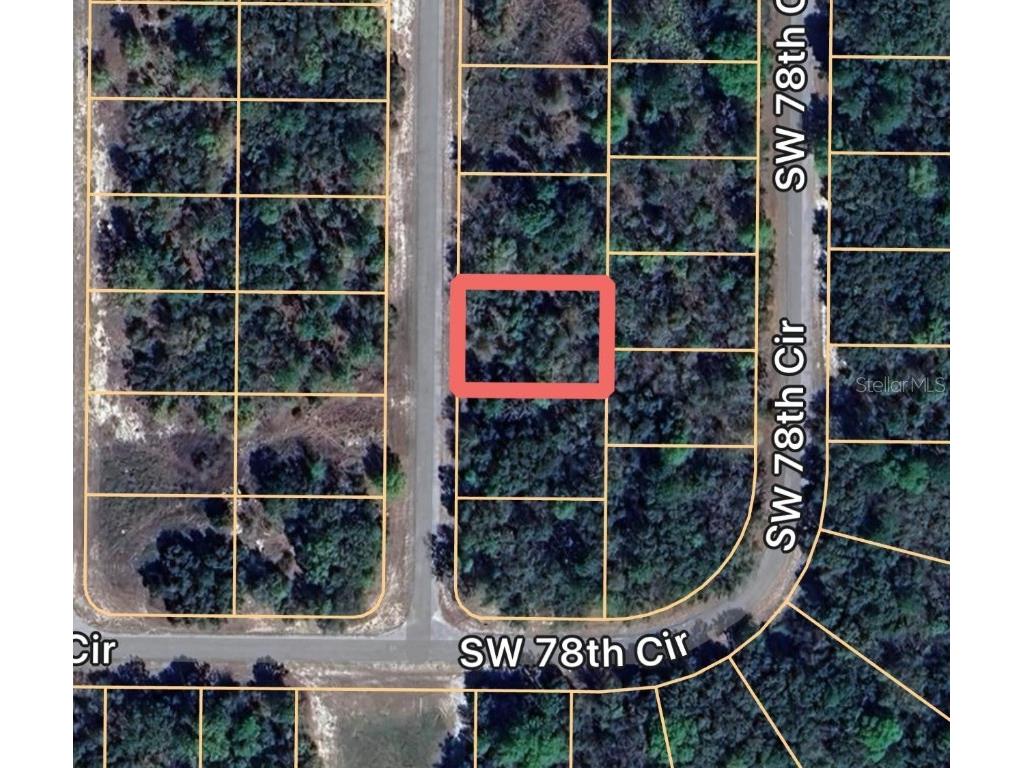 7596 SW 147th Loop Ocala FL 34473 O6316784 image1